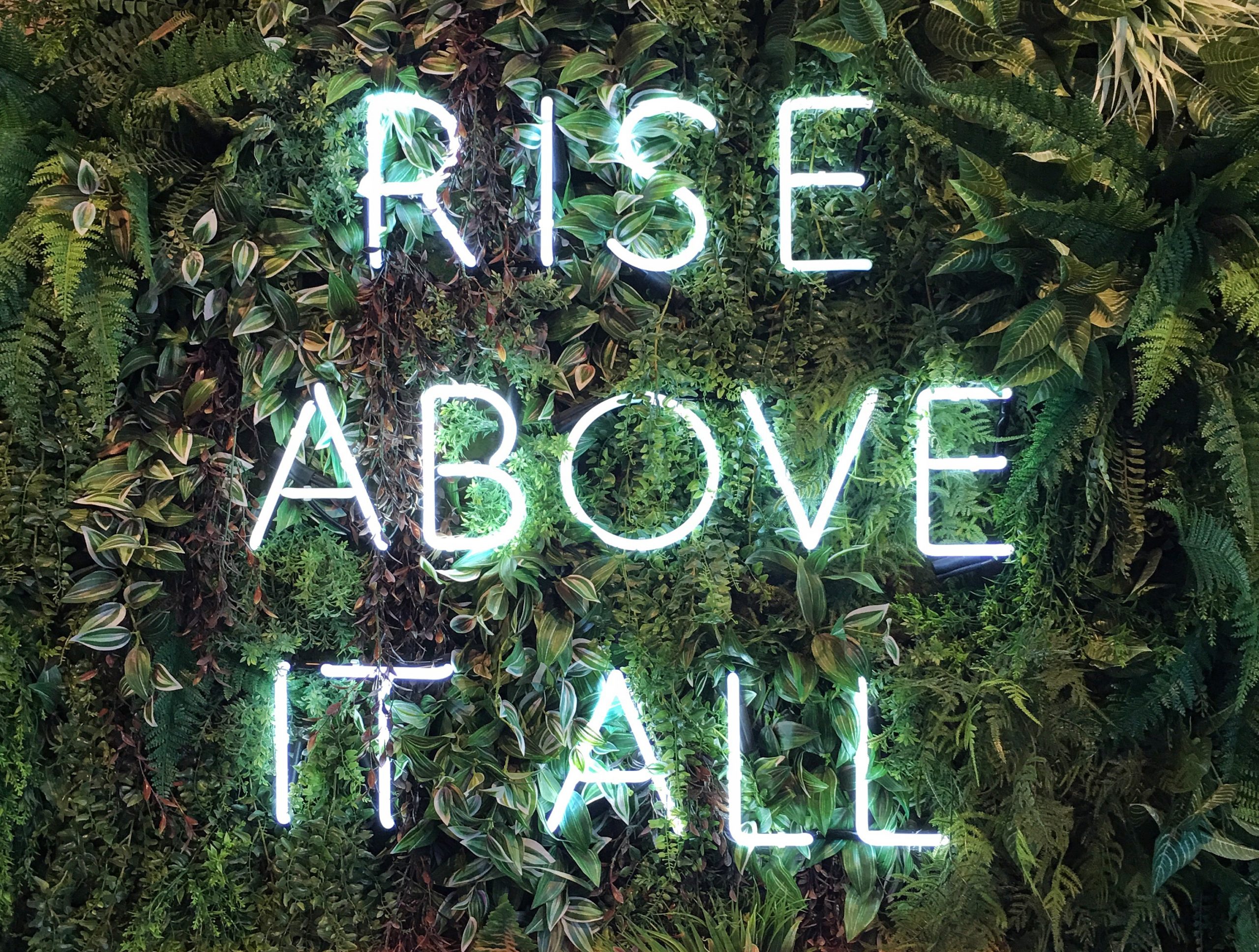 words-in-the-wild-2022-09-14-05-11-53-utc